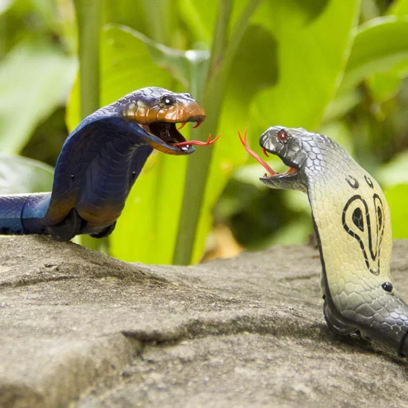RC Snake Realistic Snake Toys  - Ir Infrared Receiver ulasan dan harga