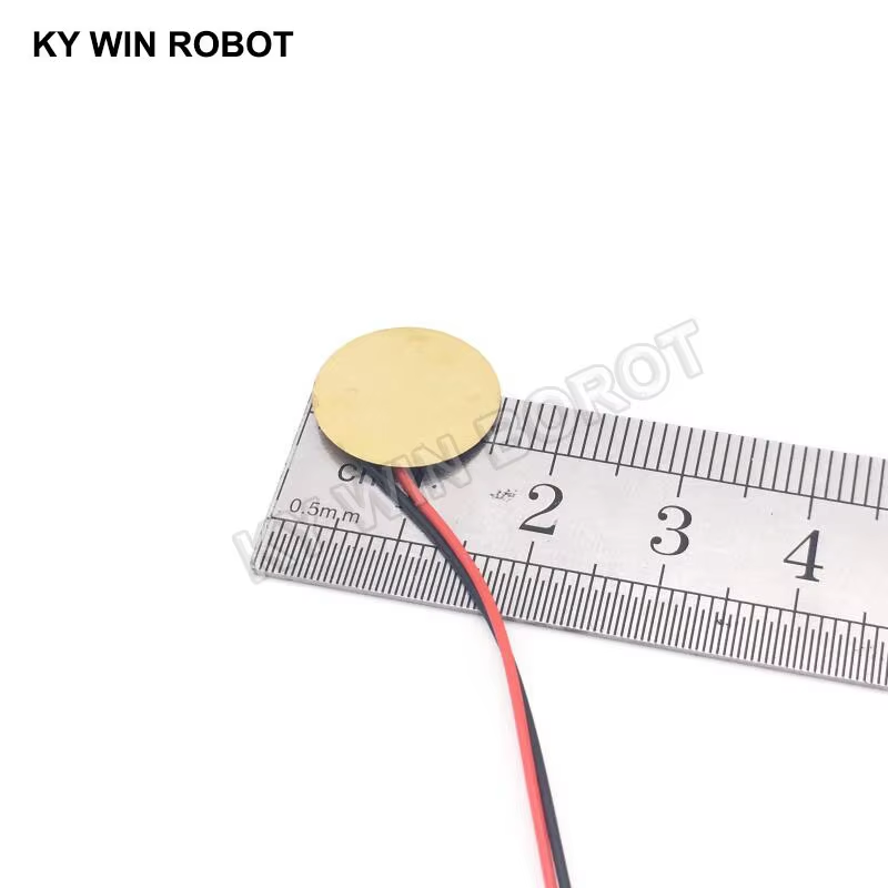 10 Pcs Piezoelectric Piezo Cer - R/Diy Electronics ulasan dan harga