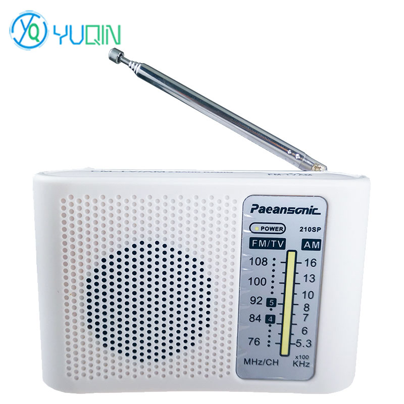 210SP AM/FM Radio Kit DIY Elec - Diy Electronics Projects For Beginners ulasan dan harga